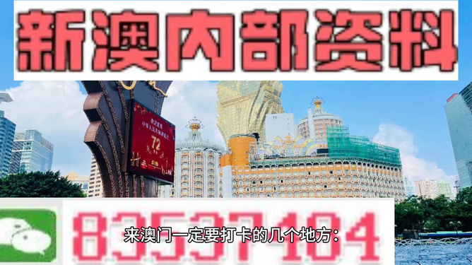 2024新澳门王中王正版,全面信息解释定义_MAP50.822安全版