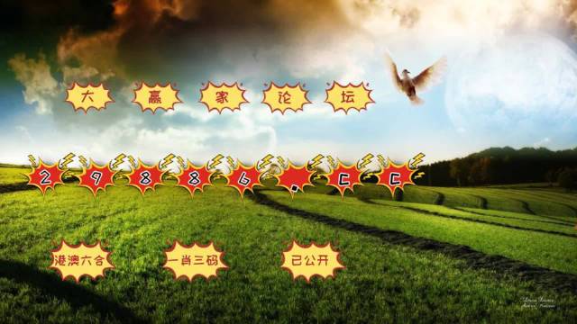 494949澳门今晚开奖什么,权威解析方法_DOU50.631装饰版