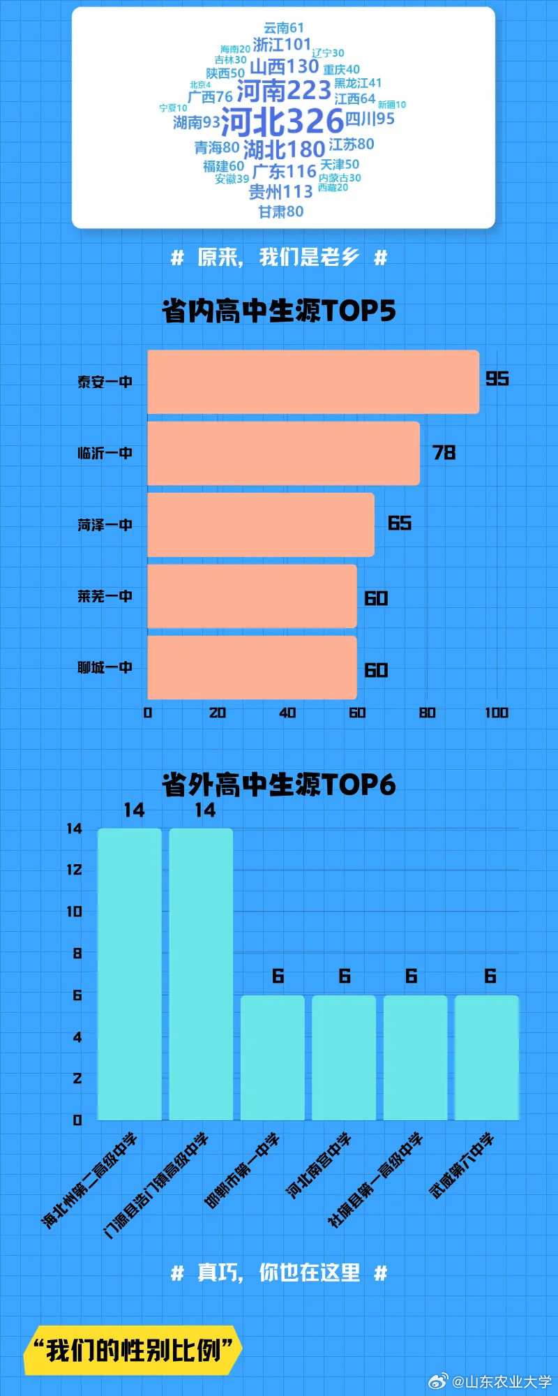 4949免费资科2024,统计数据详解说明_MYJ29.730户外版
