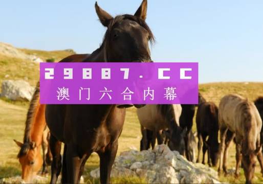 澳门管家婆资料一码一特一,案例实证分析_ADW50.984别致版