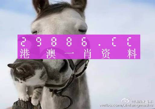 澳门必中一肖一码四不像,实地观察数据设计_XNR29.149高效版