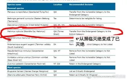 新澳今天开什么号,深入挖掘解释说明_SGT29.635透明版