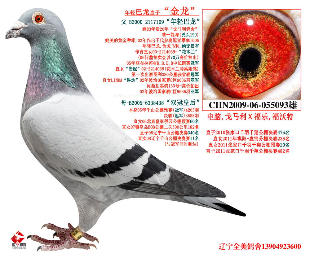 保健品 第495页