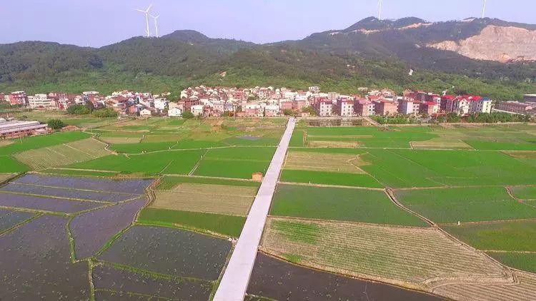 大东公社最新房价揭秘与趋势分析🏠✨