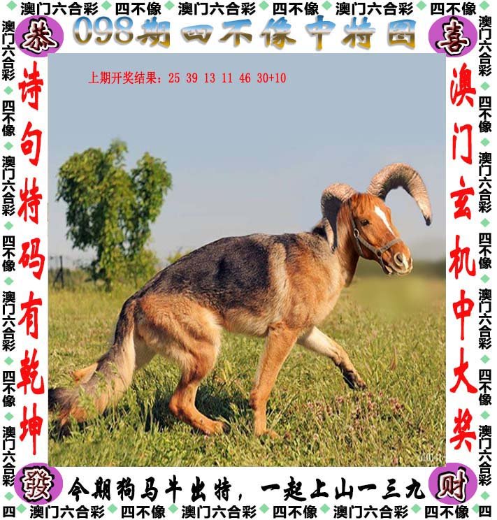 保健品 第486页