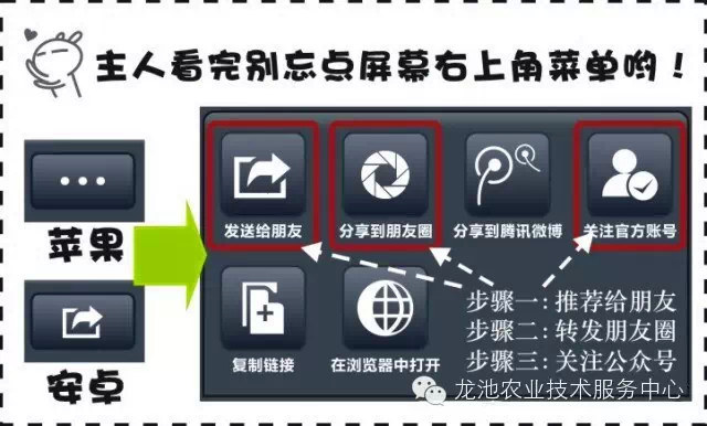 2024年新奥门天天开彩免费资料,快速解决方式指南_UGD49.222时尚版