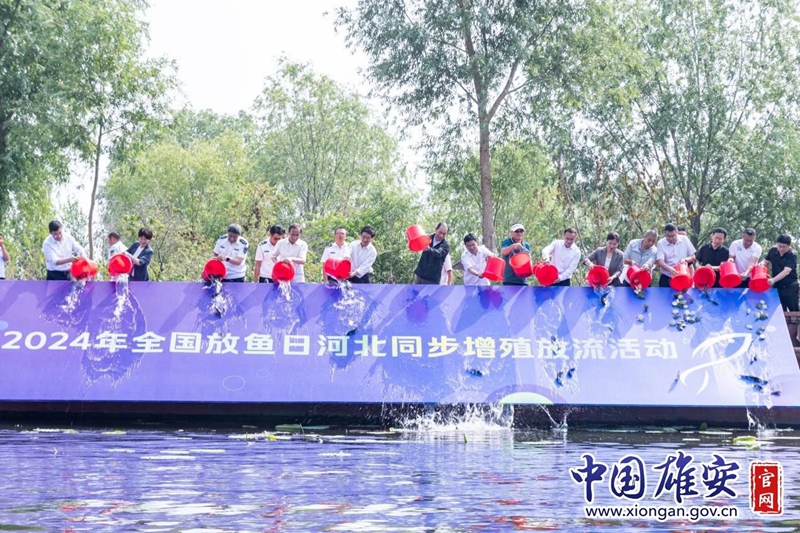 揭秘2024安阳最新鱼讯动态
