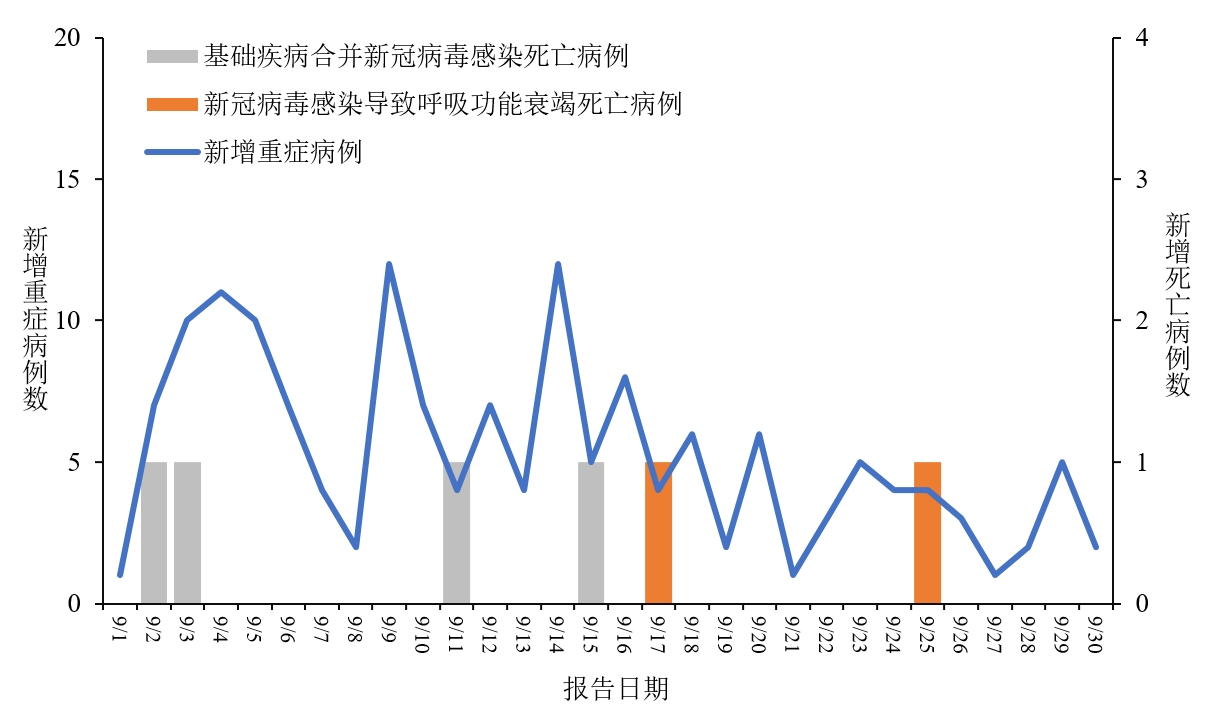 2024年11月份新病毒头晕,策略规划_WCP49.330明亮版