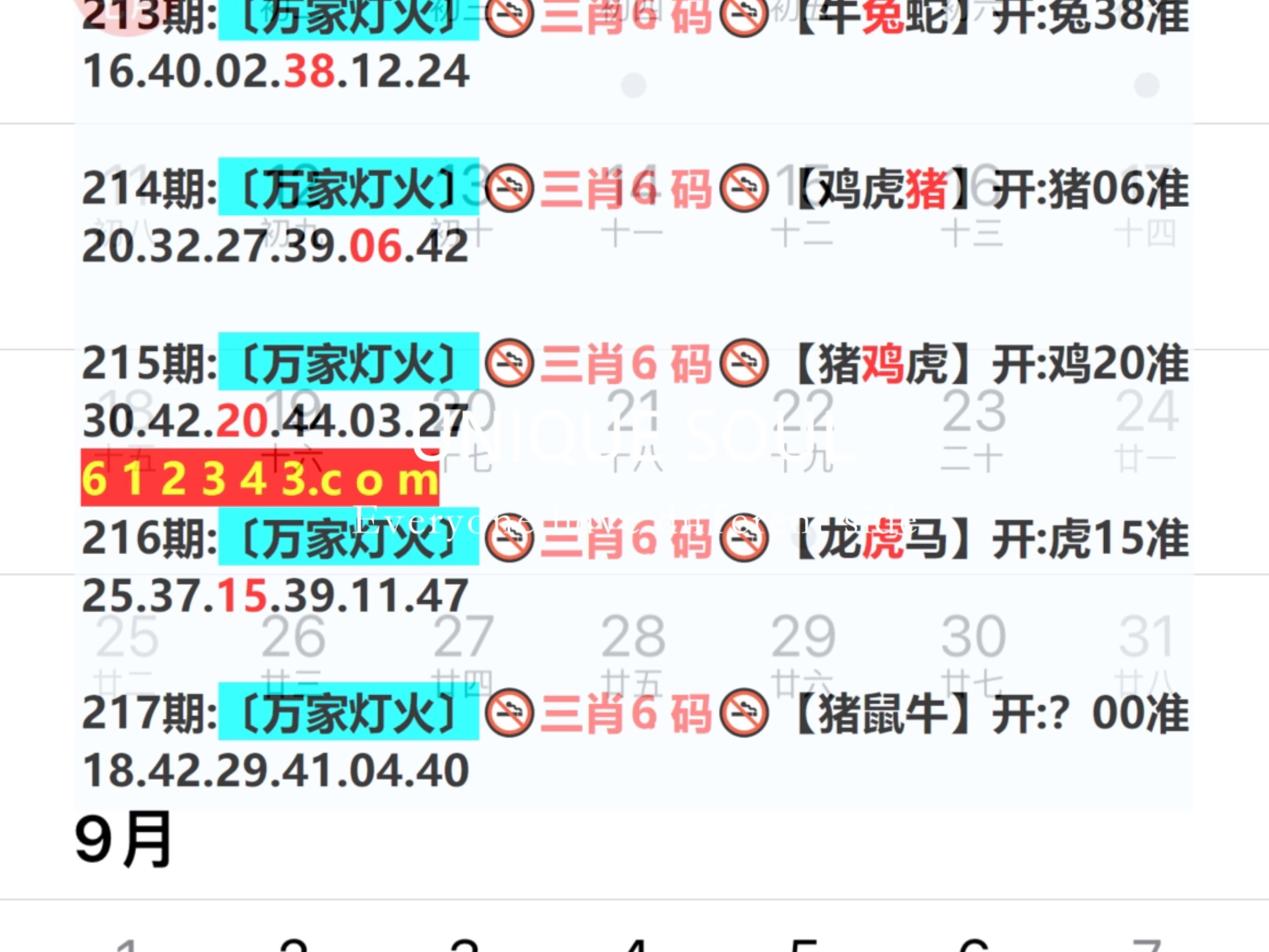 2024新奥门精准一肖一码,快速处理计划_TTS49.640DIY版