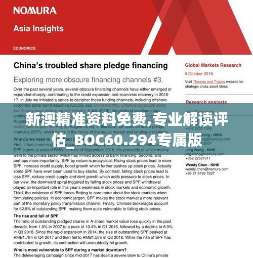 新澳精准资料内部资料,数据驱动方案_WSO49.338贴心版