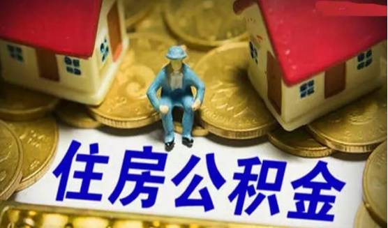 五A添盛坊青稞原浆 第445页
