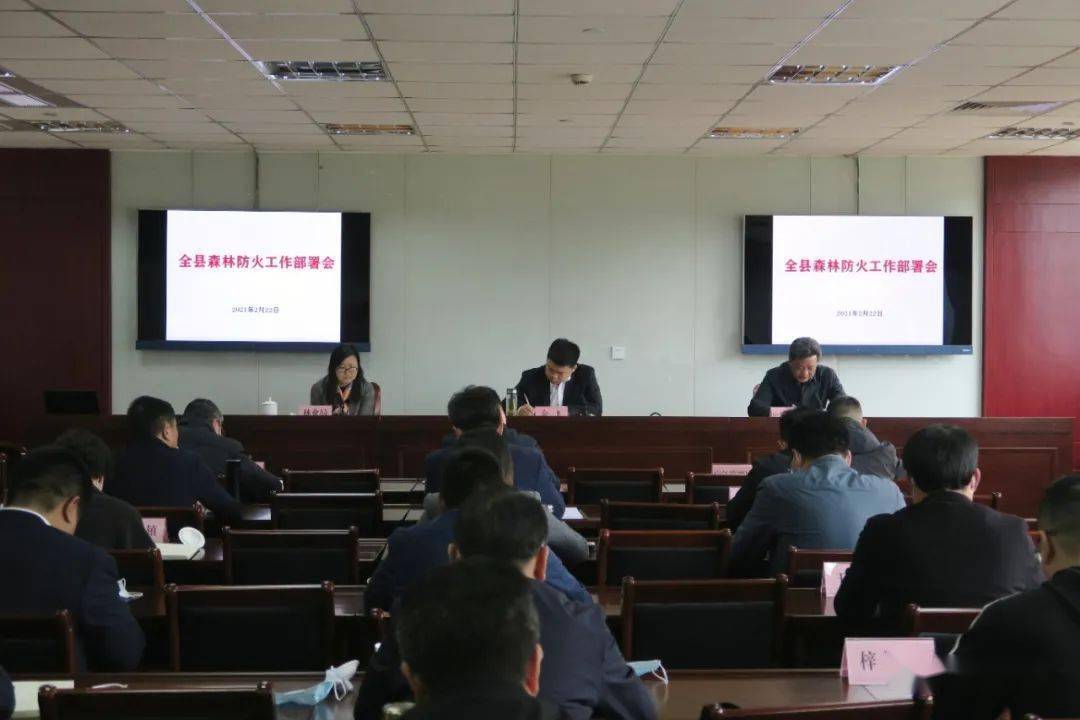 淳安县副县长最新分工概览🌟