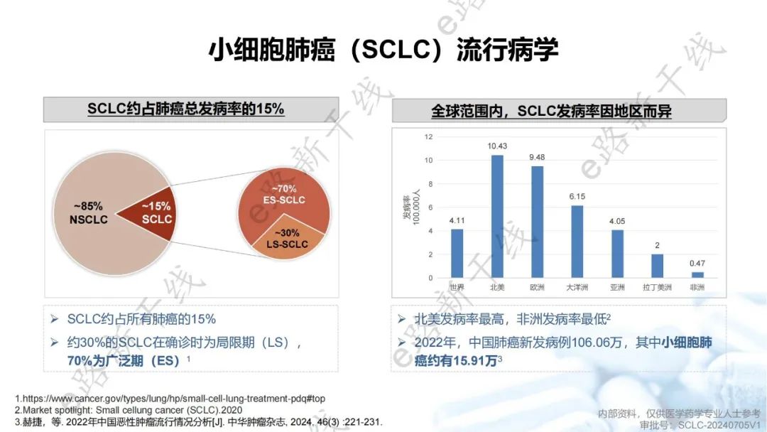 小细胞癌最新动态与观点论述揭秘