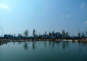 五A添盛坊青稞原浆 第434页