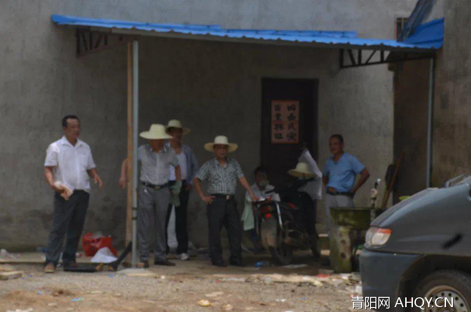 尤东村最新动态，自然探索之旅，寻找内心平和的旅程