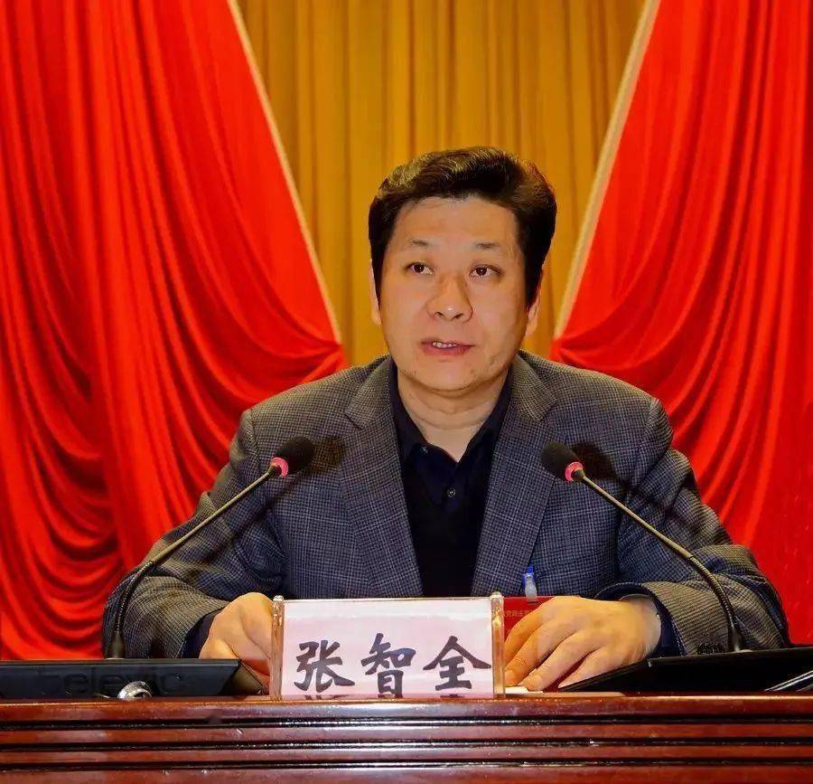 张智全最新消息获取指南，适用于初学者与进阶用户的步骤教程