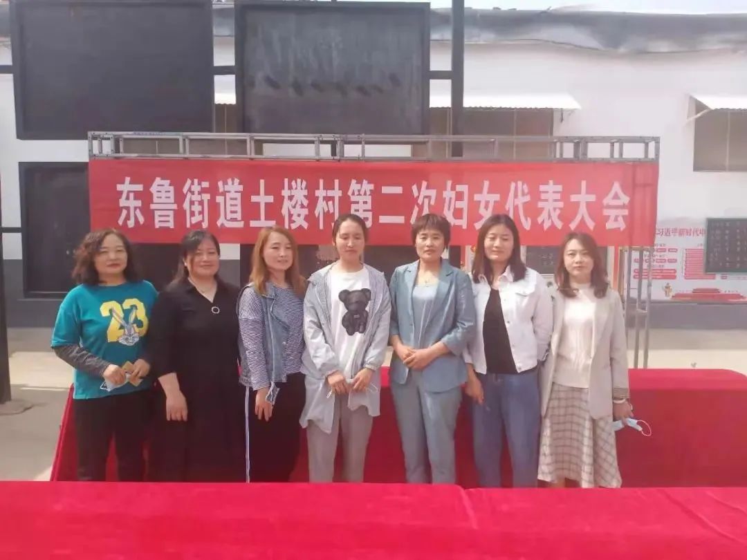 莘县乡镇换届最新动态，换届进展与消息速递