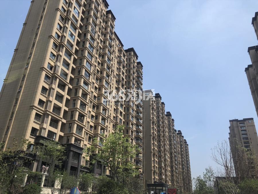 南京中粮鸿云最新动态更新