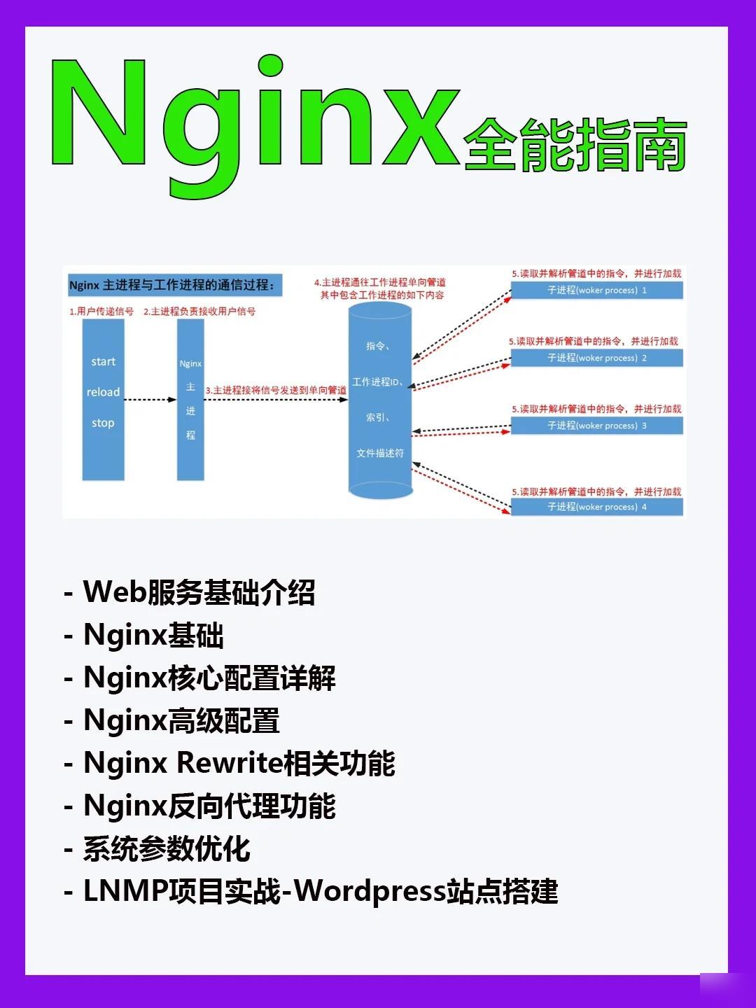 保健品 第411页