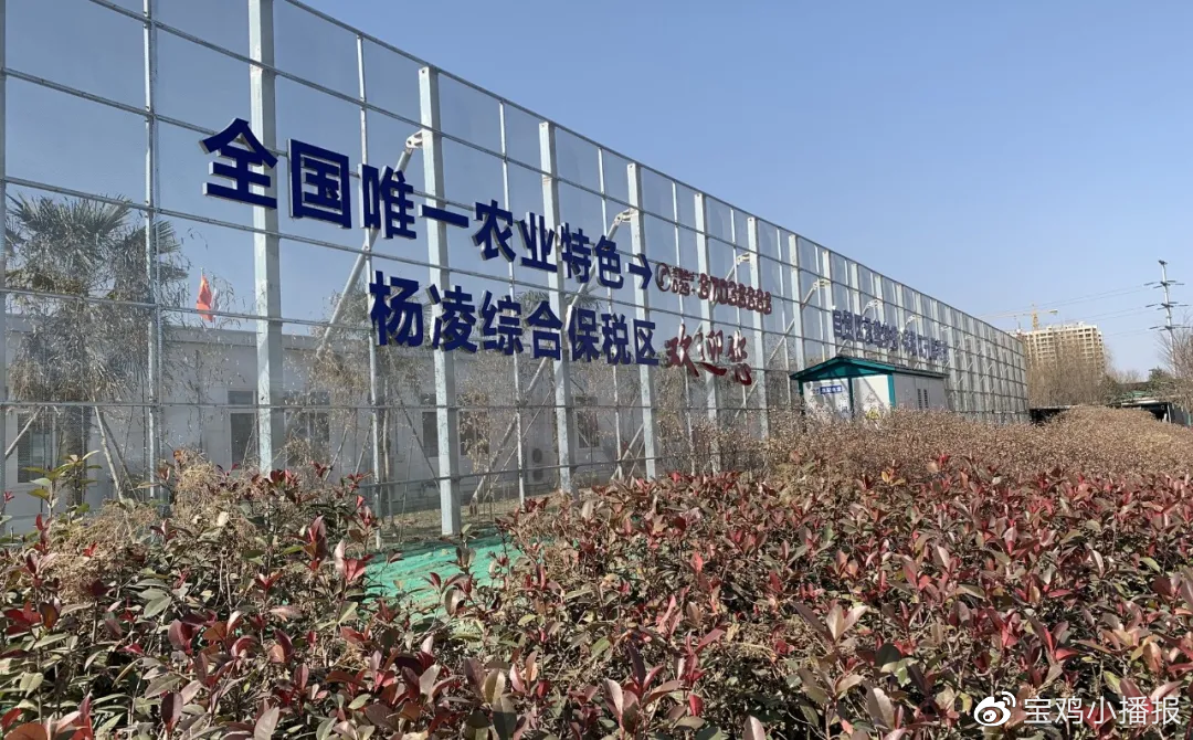 五A添盛坊青稞原浆 第412页