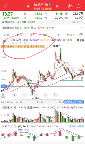 新晨科技股票最新动态，深度分析与观点阐述