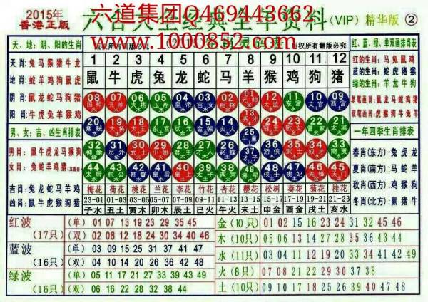 2024新版生肖恃码表49彩色澳门,系统解决方案_BNJ83.460活力版