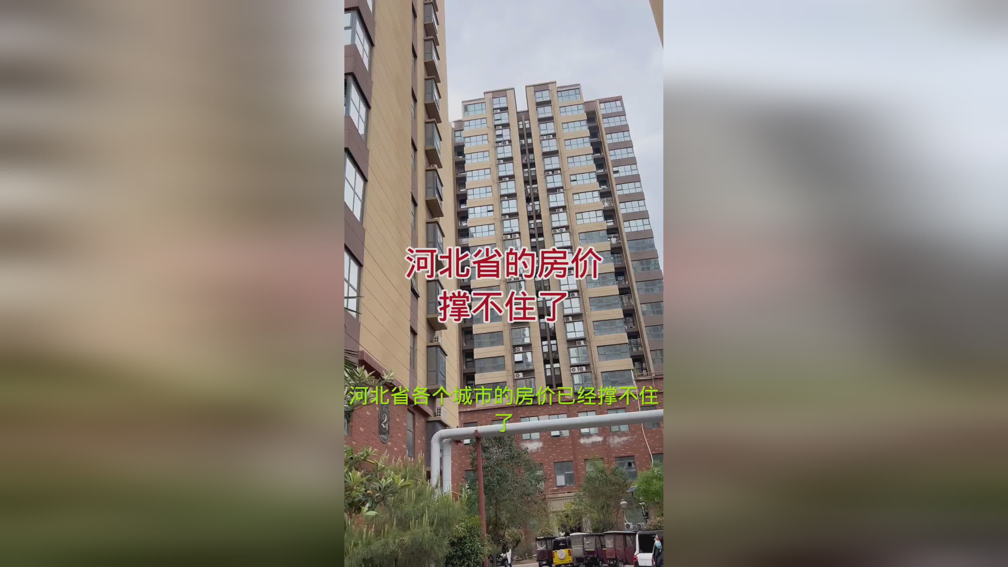 五A添盛坊青稞原浆 第406页