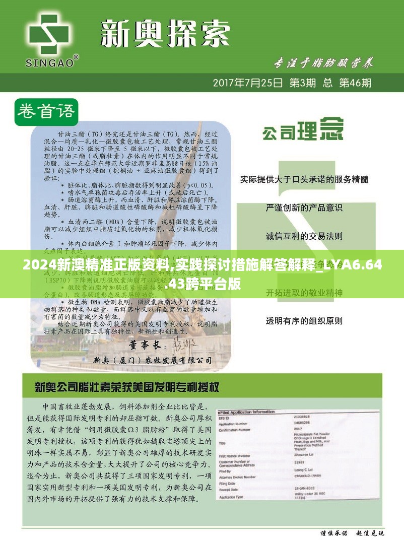 新澳2024年精准资料,安全设计解析说明法_SNK9.500加速版