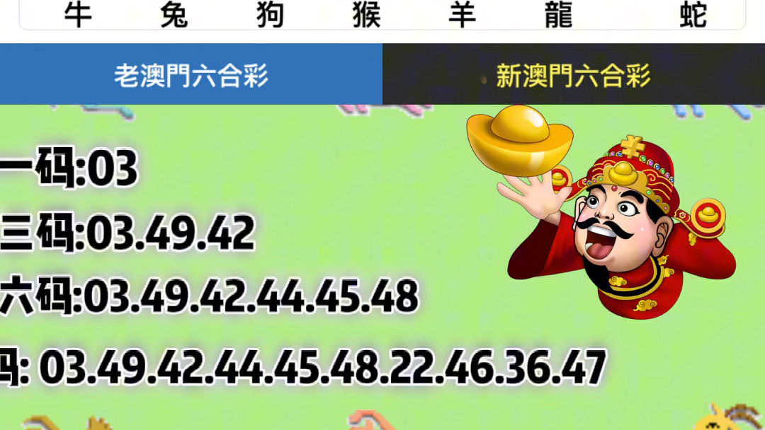 新澳门六开奖号码记录33期,快速解决方式指南_触感版58.639