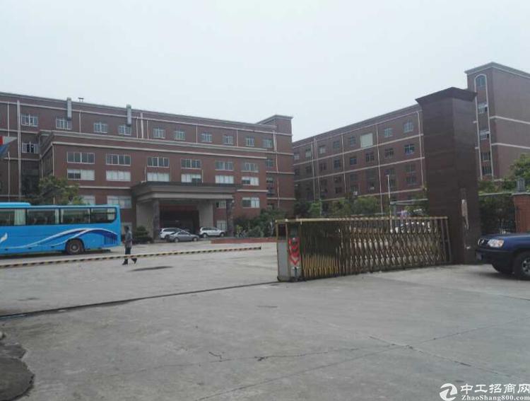 开封独院急售最新消息，故事中的奇遇与家的温馨纽带