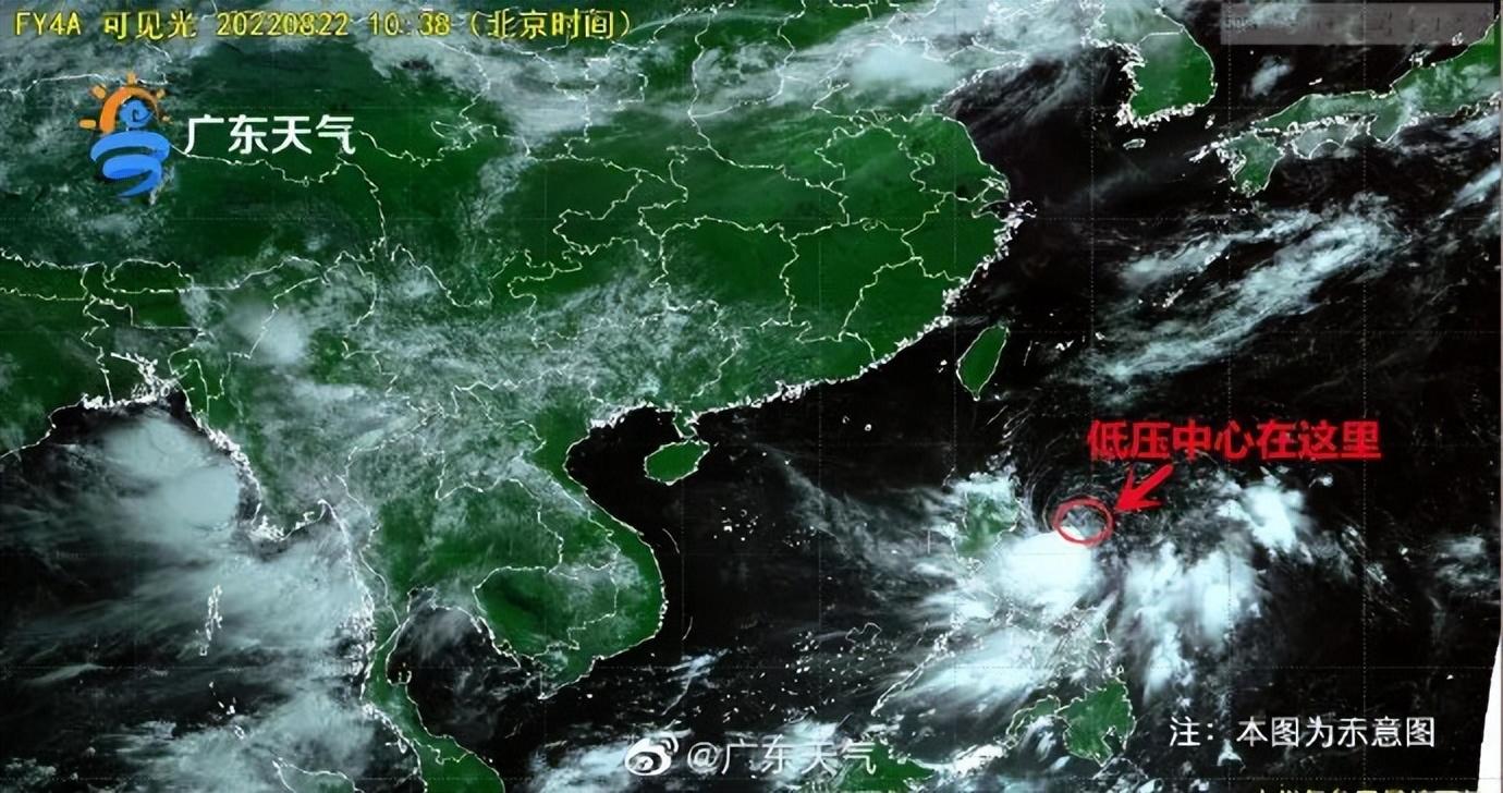 香港今晚必开一肖,标准执行具体评价_趣味版82.998