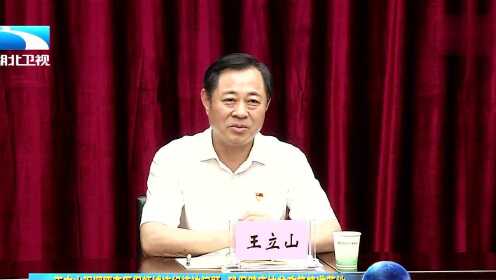 揭秘王立山的成长轨迹与最新动态，最新消息一览