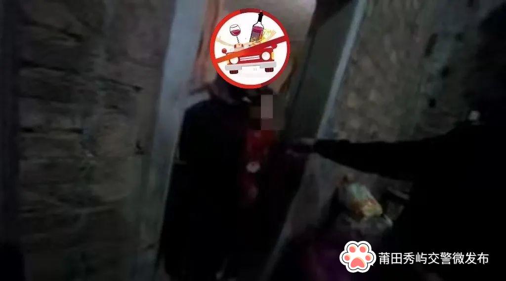 莆田车牌号最新号段，一段友情与陪伴的温馨故事