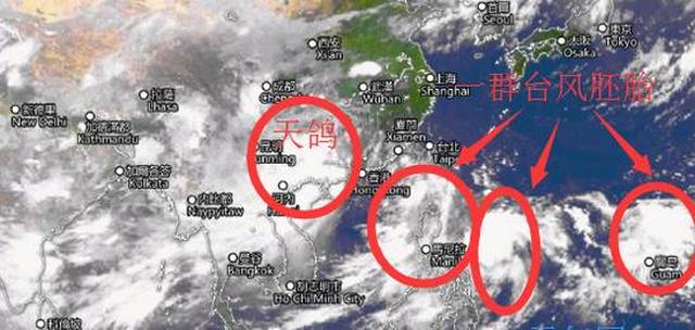 台风天鸽最新登陆消息更新
