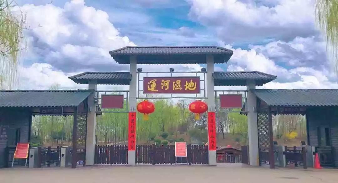 宿迁运河春天最新动态更新，最新消息一览