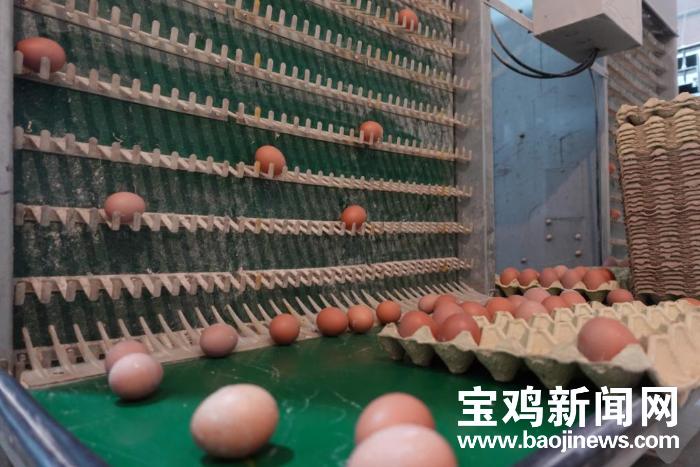保健品 第313页
