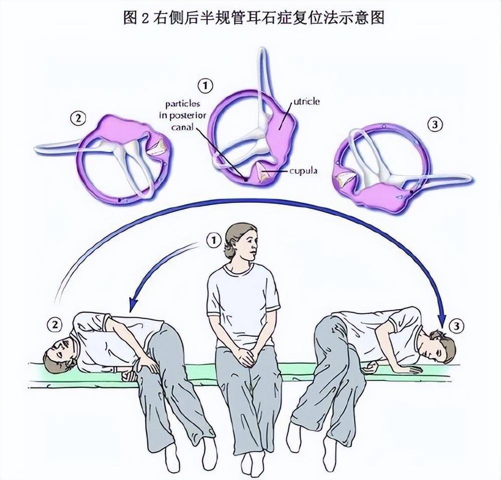绿色经典精盛青稞酒 第308页