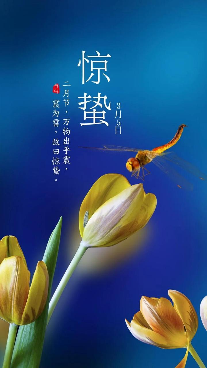 最新惊蛰图片及步骤指南全攻略