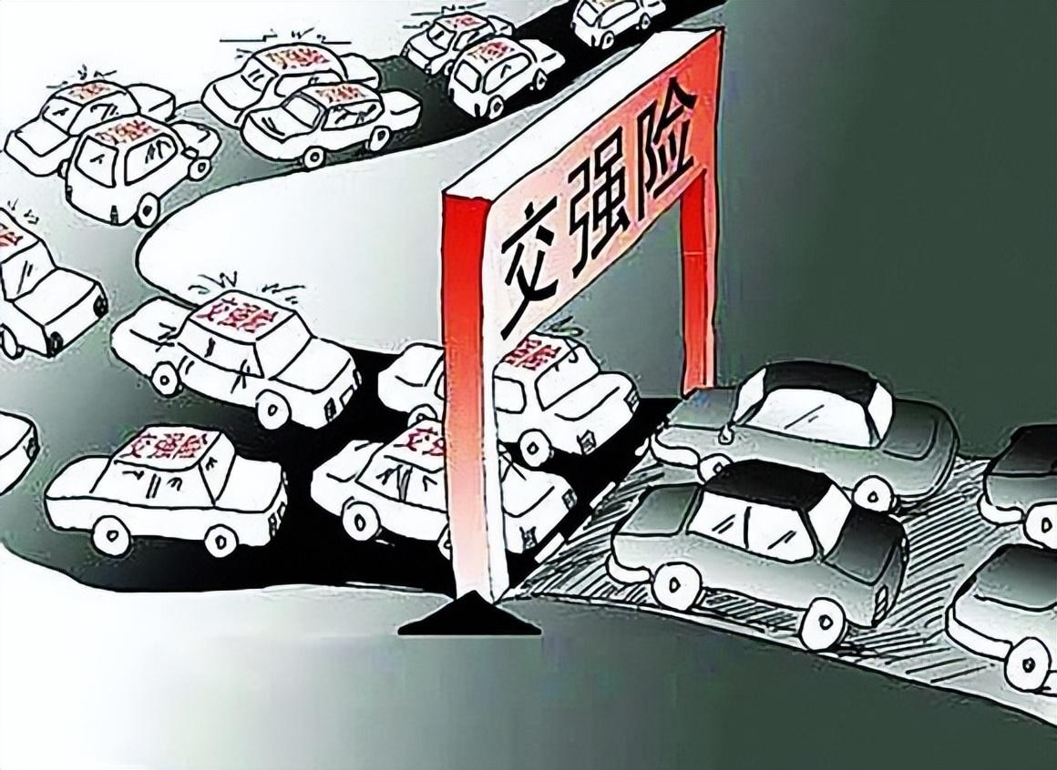 保健品 第304页