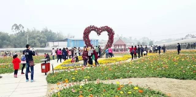 关于神马福利电影的背景、发展与时代影响，涉黄问题的探讨与警示