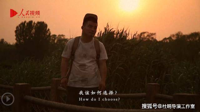 向阳花电影，深度探究其影响与意义