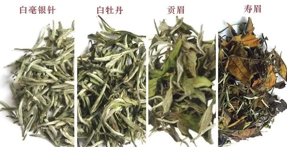 白牡丹白茶，探寻内心平静的茶道之旅与价格揭秘