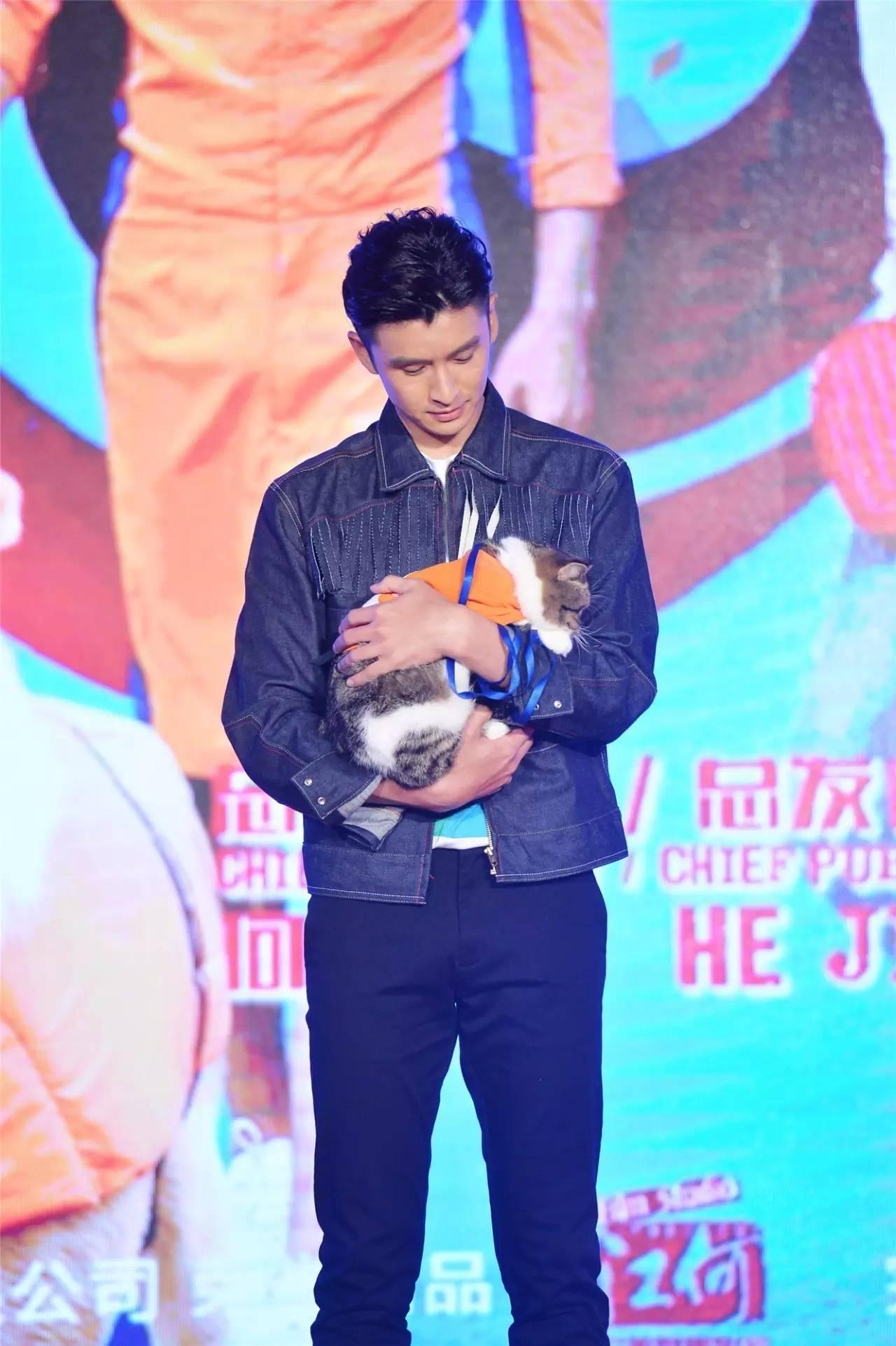 神犬小七2演员阵容全揭秘，星光熠熠与小巷特色小店探寻之旅