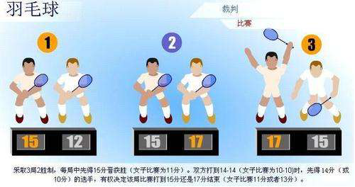 羽毛球比赛规则图解,羽毛球比赛规则图解，从入门到精通