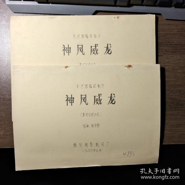 神风神龙，电视剧的魅力与传奇之旅