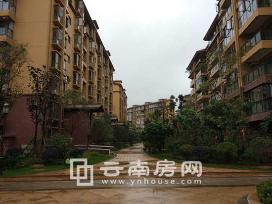 进贤云飞橡园最新动态与资讯更新