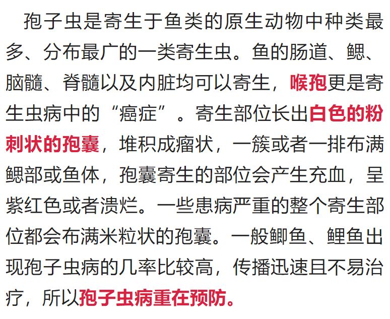 最新孢子虫特效药，变化的力量与学习的魅力探索