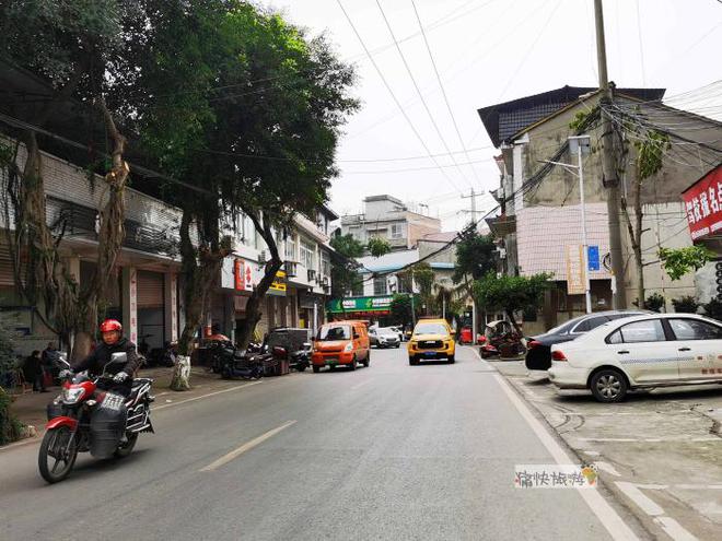 富顺县板桥镇最新动态及其地区影响深度解析