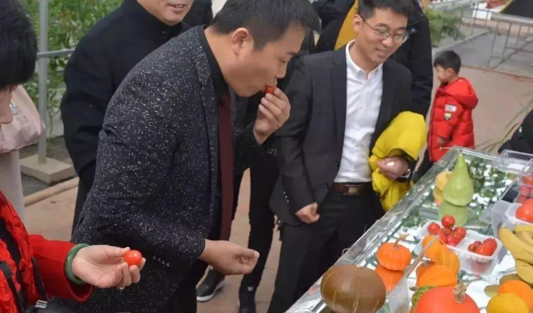 属狗女明星，星光下的坚韧成长与自信成就