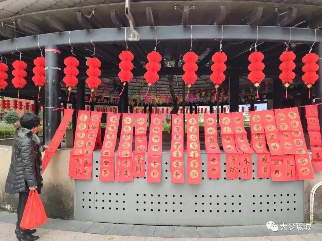宁德金马大桥建设进展，桥梁成长见证自信之路